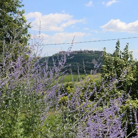 Prázdninový dům Rosa Dei Venti Montepulciano Stazione